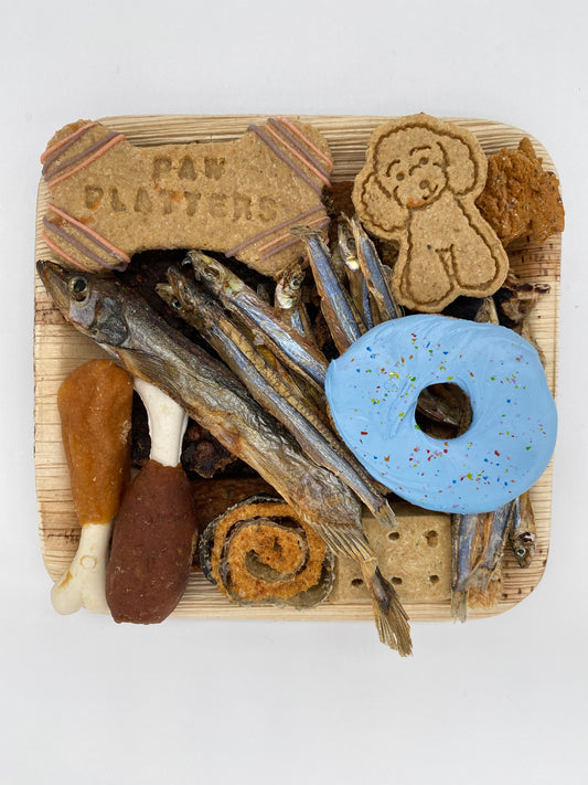 Understanding Canine Enrichment with Barkuterie Boards