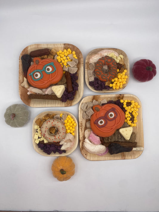 Paw-tumn Boards 🐶🎃